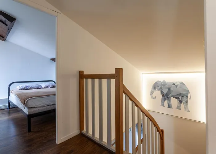 Superbe Appartement Duplex Centre Ville De Macon